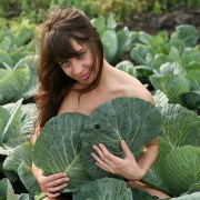 Appreciating the Unappreciated: Why You Want to Make Cabbage Your Bosom Friend